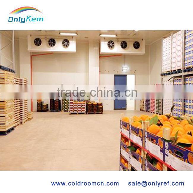 hot sale meat walk in chiller for family