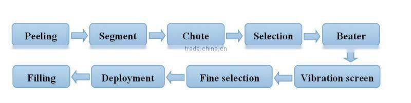 Turnkey project automatic orange cell making machinery include peeling,segmenting,selecting,beating machine