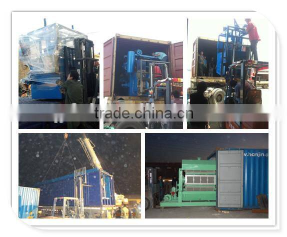 Paper egg tray forming machine in China