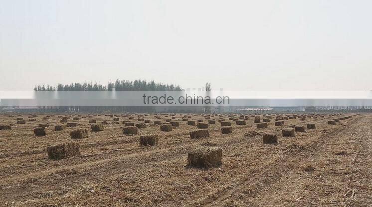 square baler drived by tractor