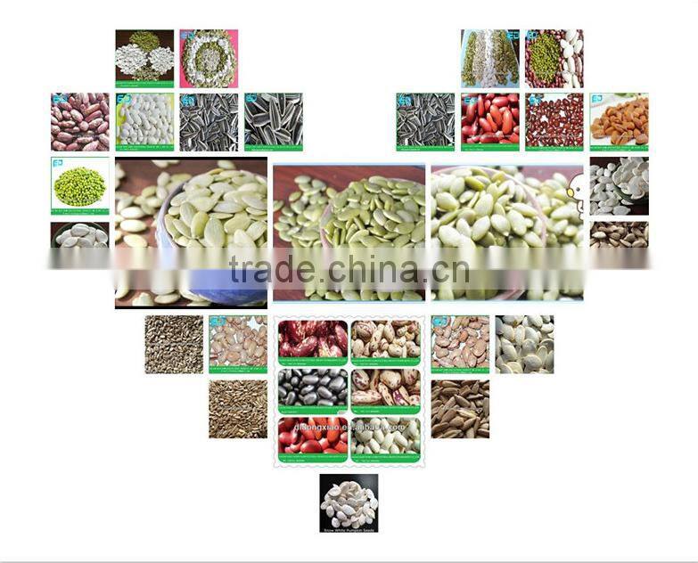 good taste roasted and salted shine skin pumpkin seeds 11mm 10mm 9mm high quality