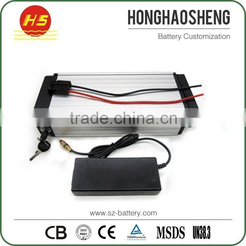 Portable Lithium Battery 48V 25AH Electric Bicycle 48V Lithium Battery with Samsung Cell