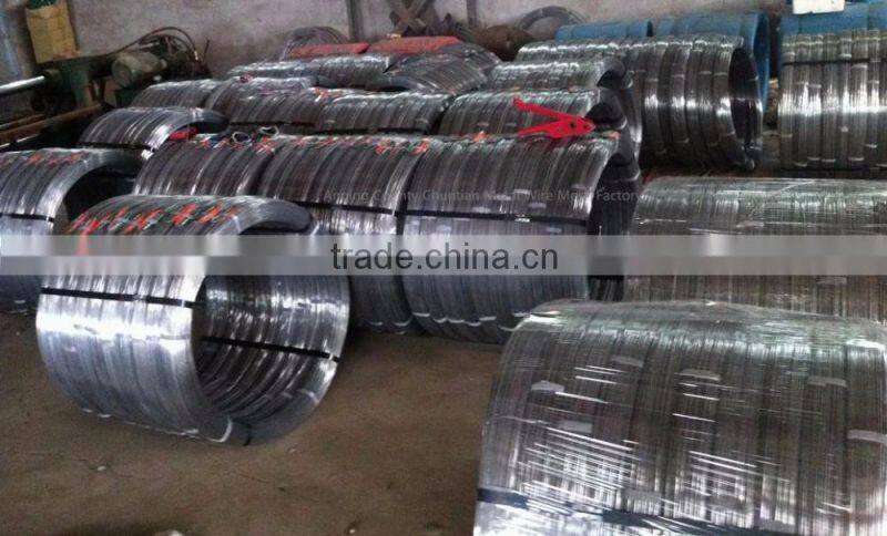 Galvanized Oval Wire 2.4x3.0mm For Farm Fencing