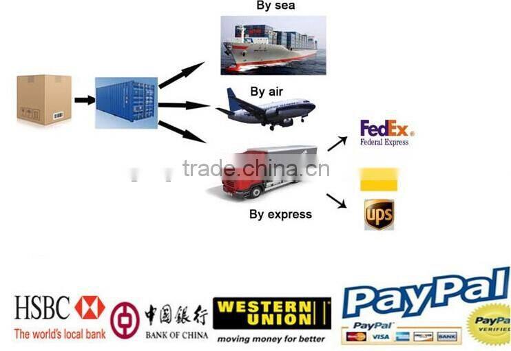 Interchangeable Ski Goggle, Safety Snow Goggles