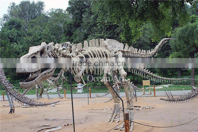 High quality dinosaur t-rex fossil model/Trade assurance