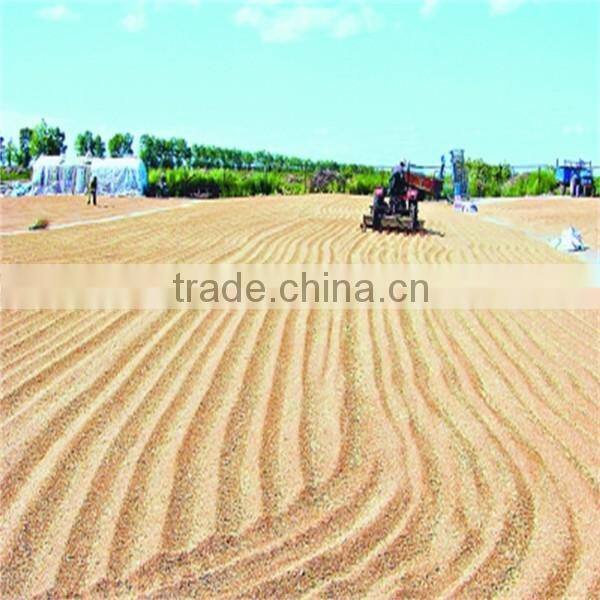bulk malted barley of Australia origin