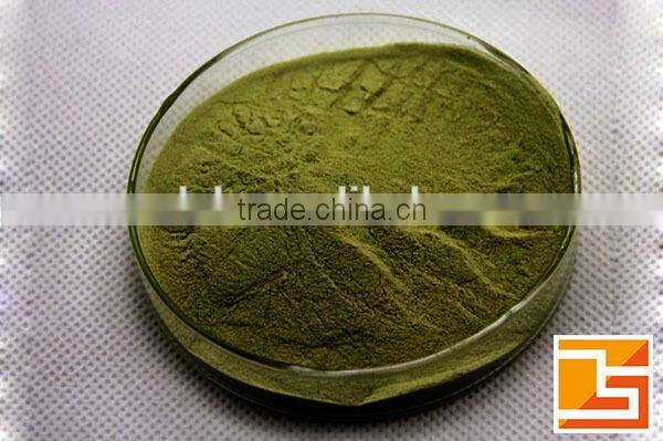High Quality Barley Grass Juice P.E.