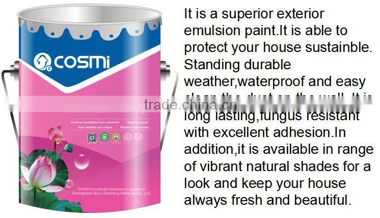 Weather resistance emulsion paint for exterior wall decoration