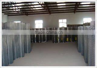 Best Quality Welded Wire Mesh(xinhong)