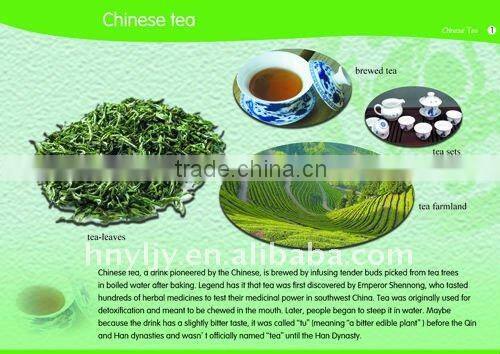 educational instrument,chinese culture wall chart,chinese festival for foreigners knowing about China