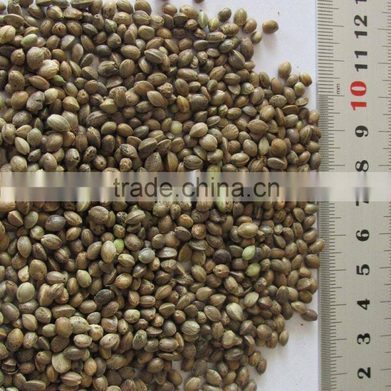 Private Label Organic Hulled Hemp Seed,Hemp Seeds,Shelled Hemp Seeds