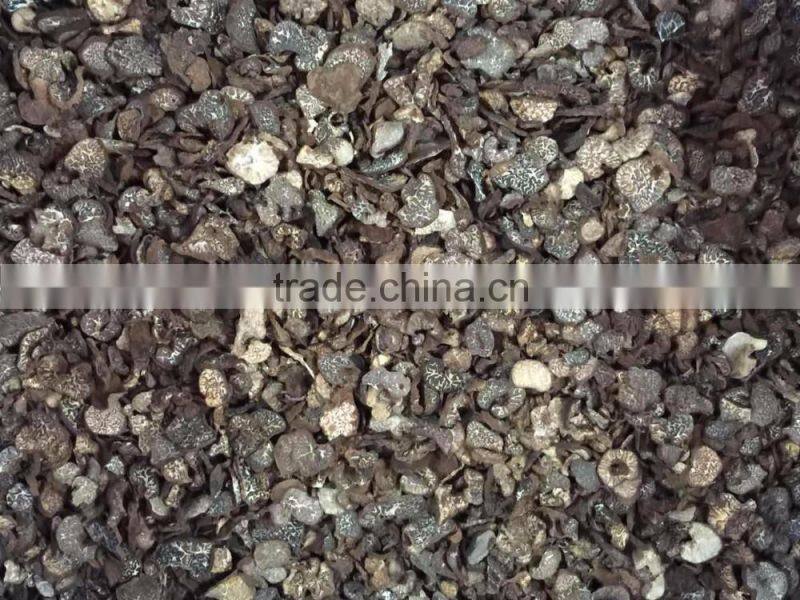 Chinese frozen fresh truffles with best price