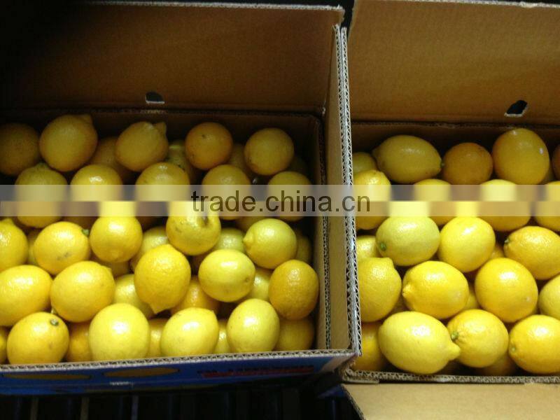 FRESH LEMON ( Adalia - Verna - Green lime )