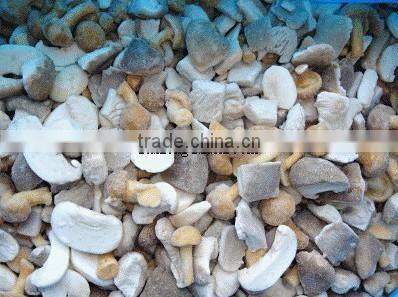 Good quality frozen IQF mixed mushroom
