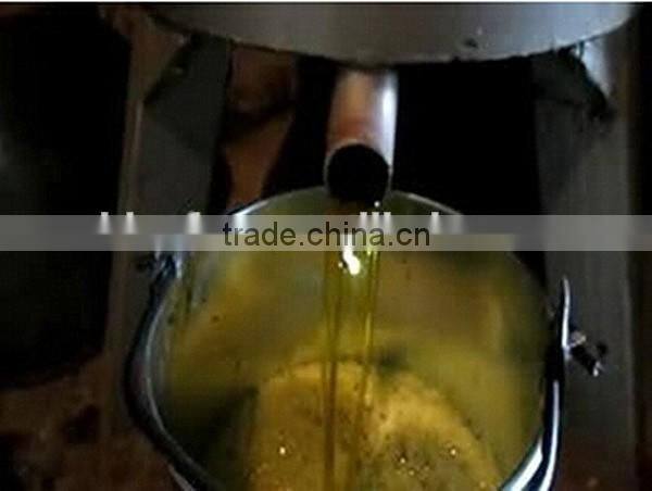 Economical oil filter in auto/oil filter factory with low price