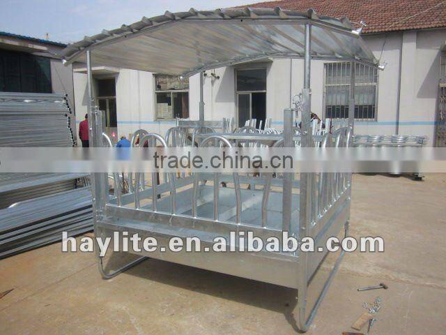horse feeder