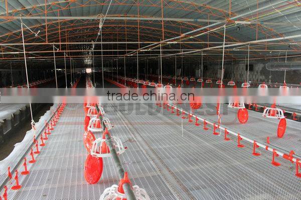 nipple drinker system with drip cup