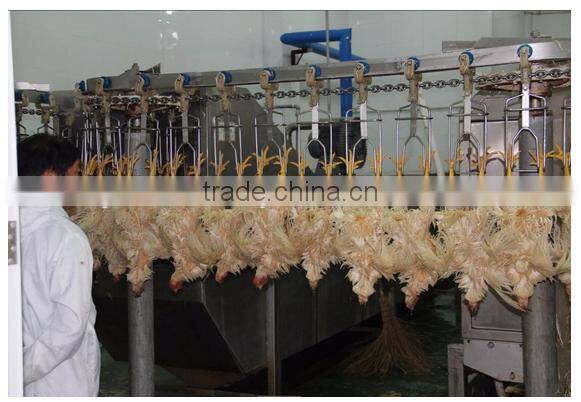 poultry processing slaughtering equipment For chicken slaughterhouse