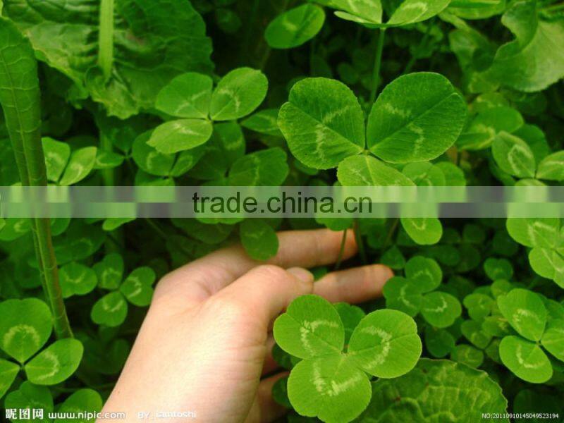 CSPM 2016 new hot sale lucerne pellet making machine 1000kg/h