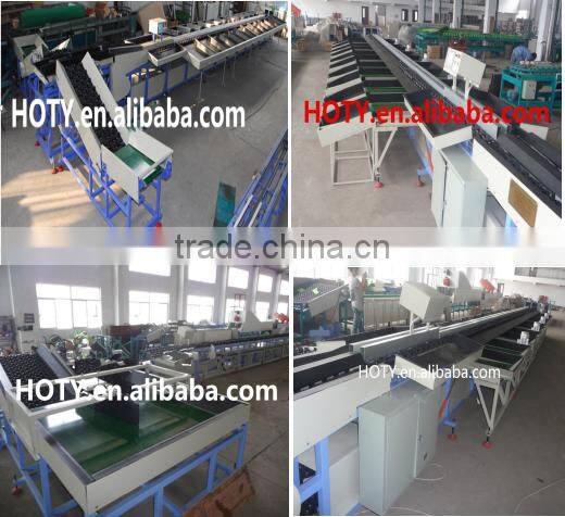 Tomato Grading Machine/washing and waxing machine