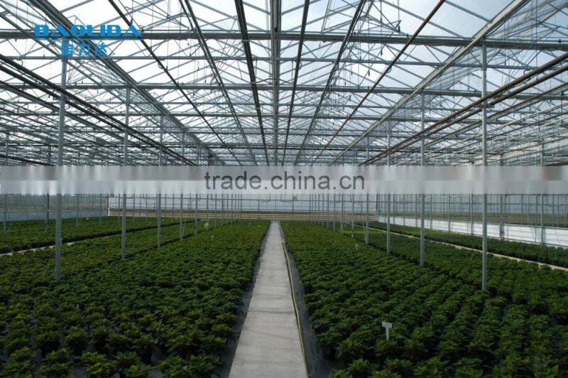 Factory Glass Greenhouse Farming Equipment