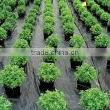 PP ground cover for weed mat