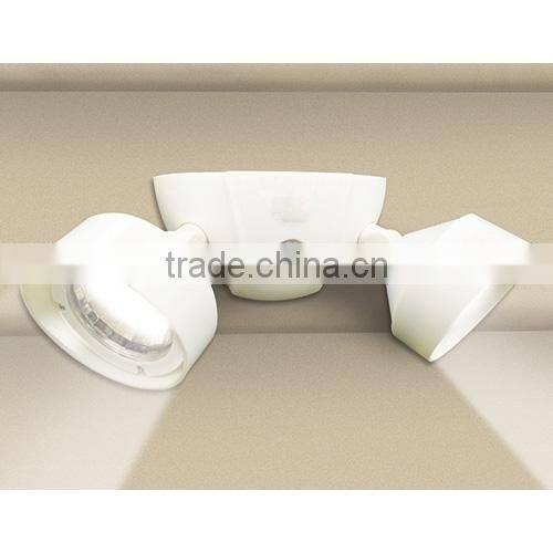 Dual Motion Detector Security LED Lights