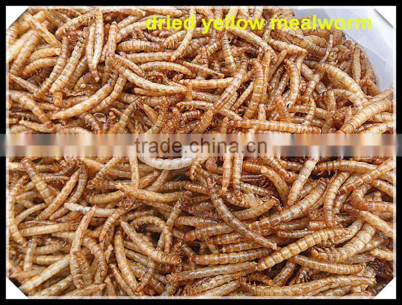Professional hikari fish food animal feed mealworm