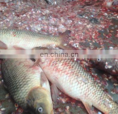 The new fishing tackle Electric portable fish scale remover for outside use