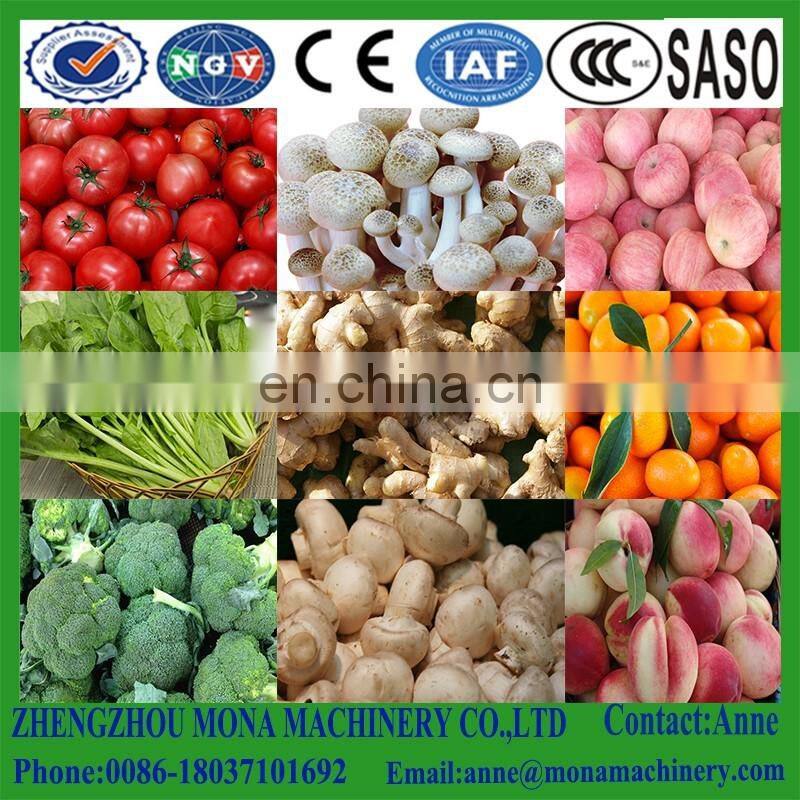 Surfing type vegetable washing machine| stainless steel fruit and vegetable washing machine with CE