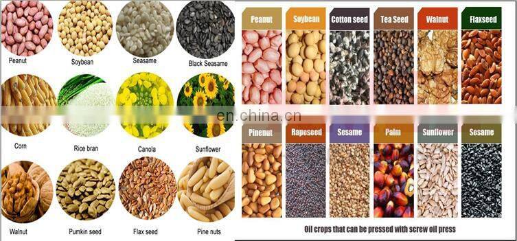 Jatropha Palm Sacha Inchi Peanut Sesame Hazelnut Flax Seed Cold Screw Oil Filter Press Expeller Machine