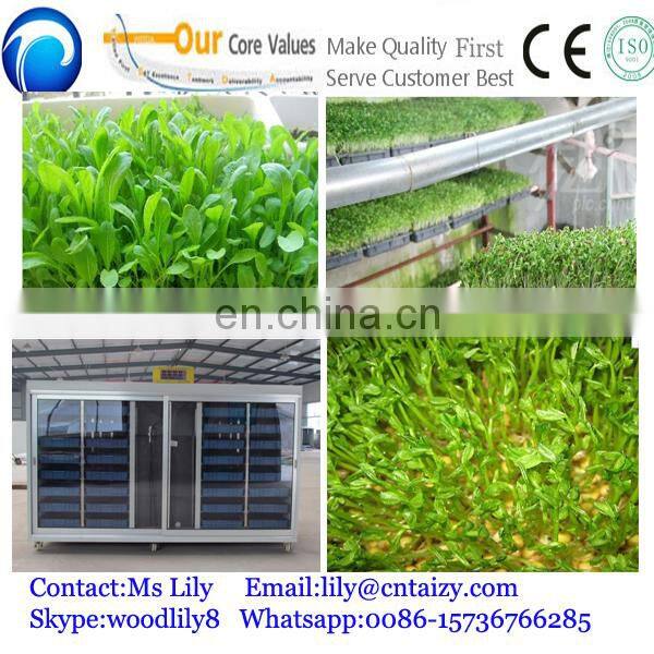 seed sprout machine barley sprout machine