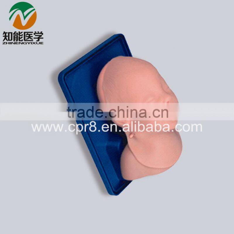 Advanced infant head for trachea intubation model