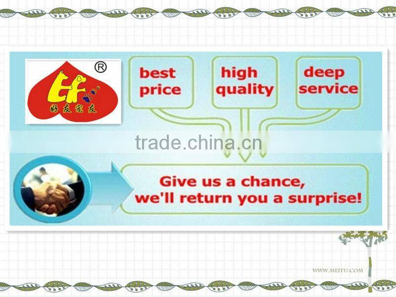 20cm frisbee toys,dog frisbee toys,frisbee