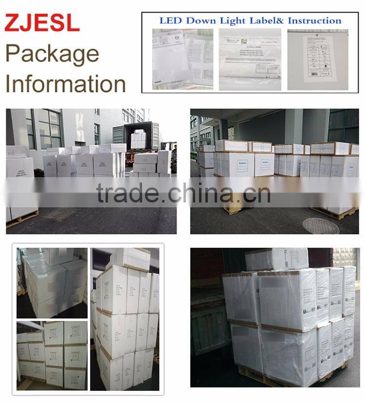 AC220-240V recessed led down light 3 inch 5 inch 6 inch 8 inch