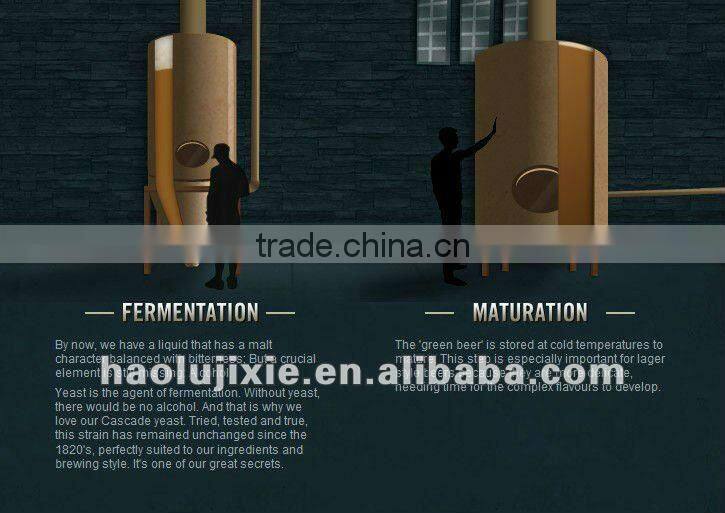 1000L beer brewing equipment