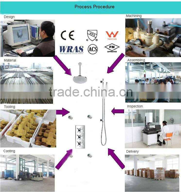 European Ceiling Shower