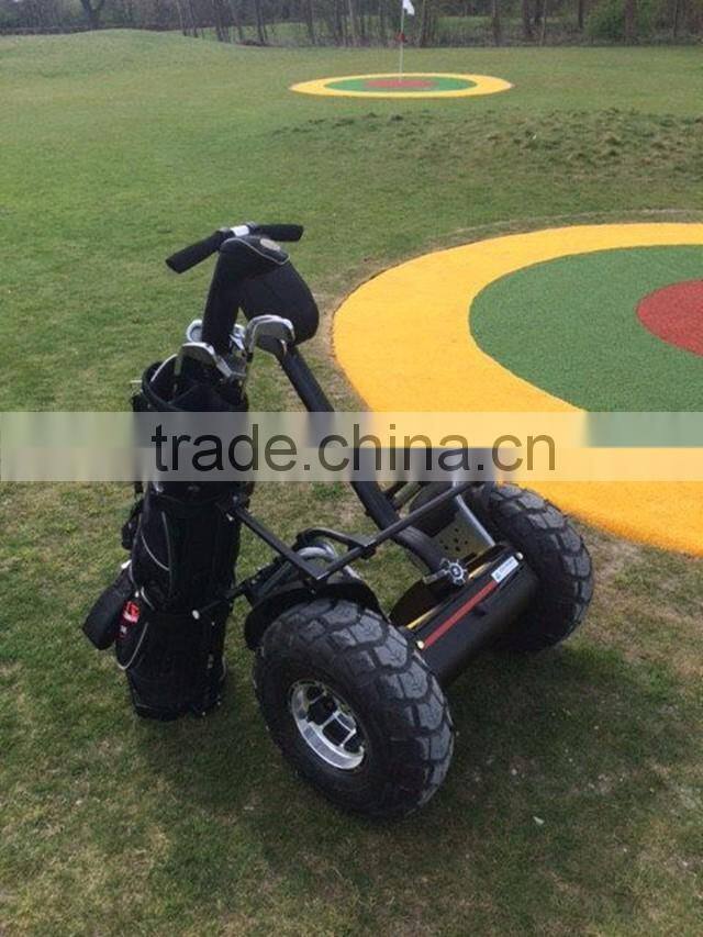 2 wheels electric skateboard Golf chariot with handle CE ROHS FCC MSDS