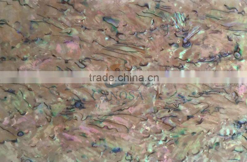 abalone shell /paua shell Shell Shell paper Interior Wall Decoration