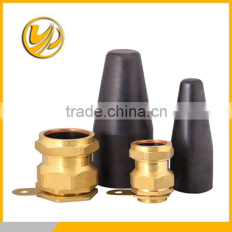One way brass check valve