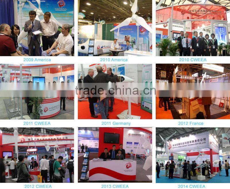 hot sale 300w S type vertical small wind generator