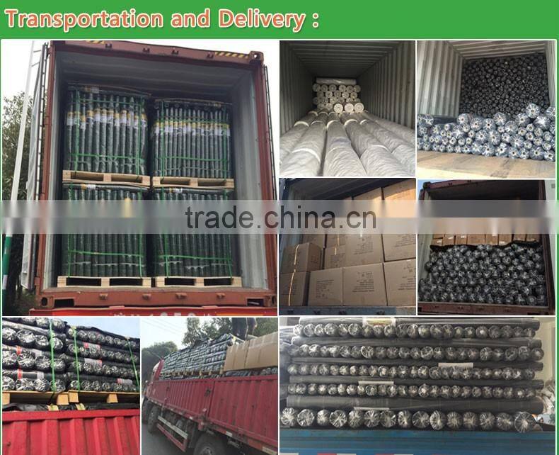 200 gsm mulch film ,plastic weed mat,PP woven fabrics in roll,weed block mats