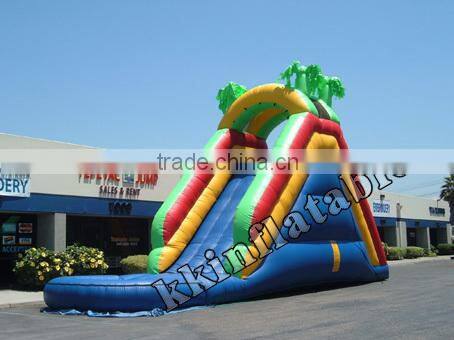 Strong PVC Inflatable Water Slide for children fun land
