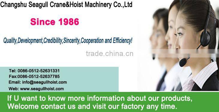 HSH-C type Lever block,lever hoist,manual hoist