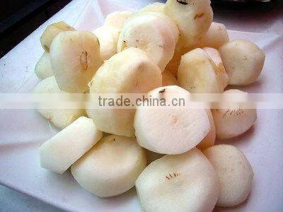 Canned Vegetable Canned Water Chestnut 567g