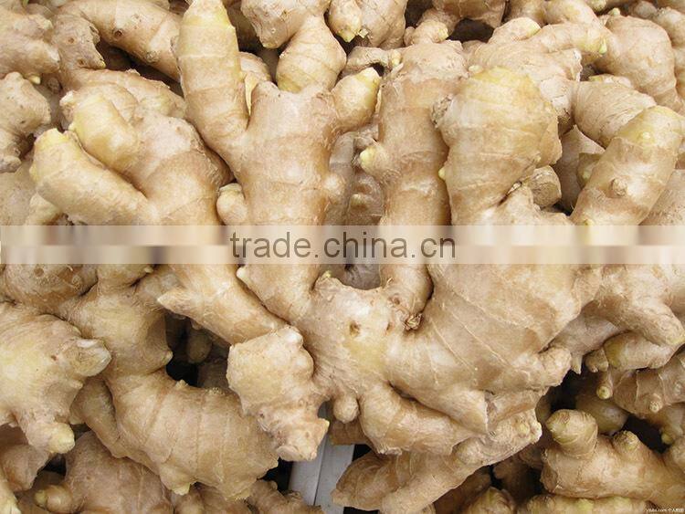 chinese low price ginger