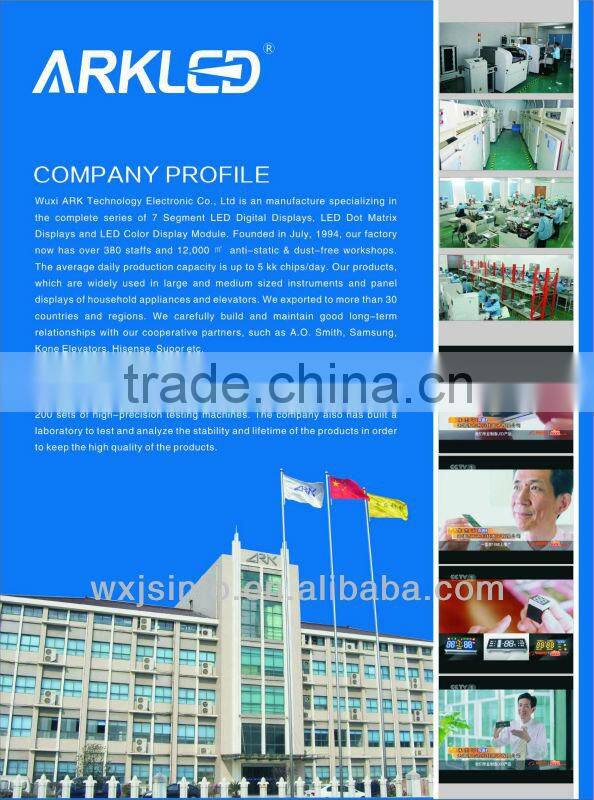 1 inch 1 digit led display,digital display