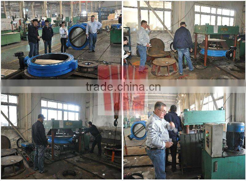 DN50~DN600 Series MH water swing check valve