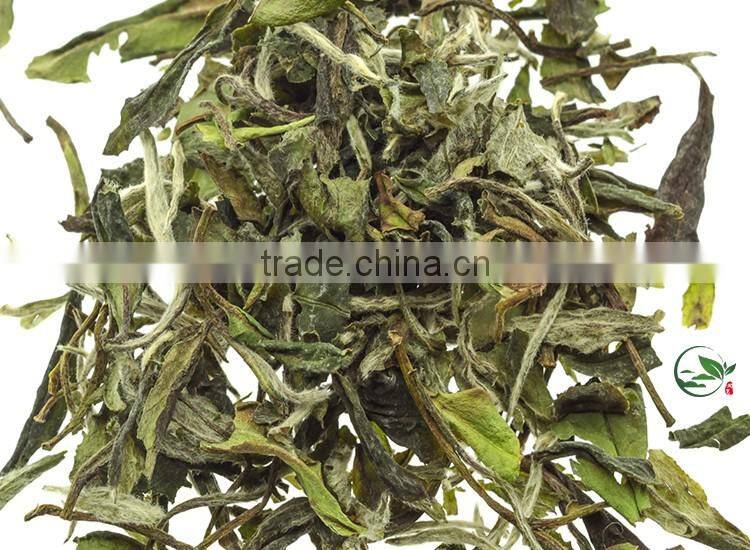 2016 Fresh Best White Tea Brands White Tea Price