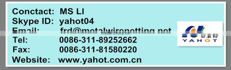 Anping galvanized hexagonal wire mesh/ chicken wire / PVC coated chicken fence